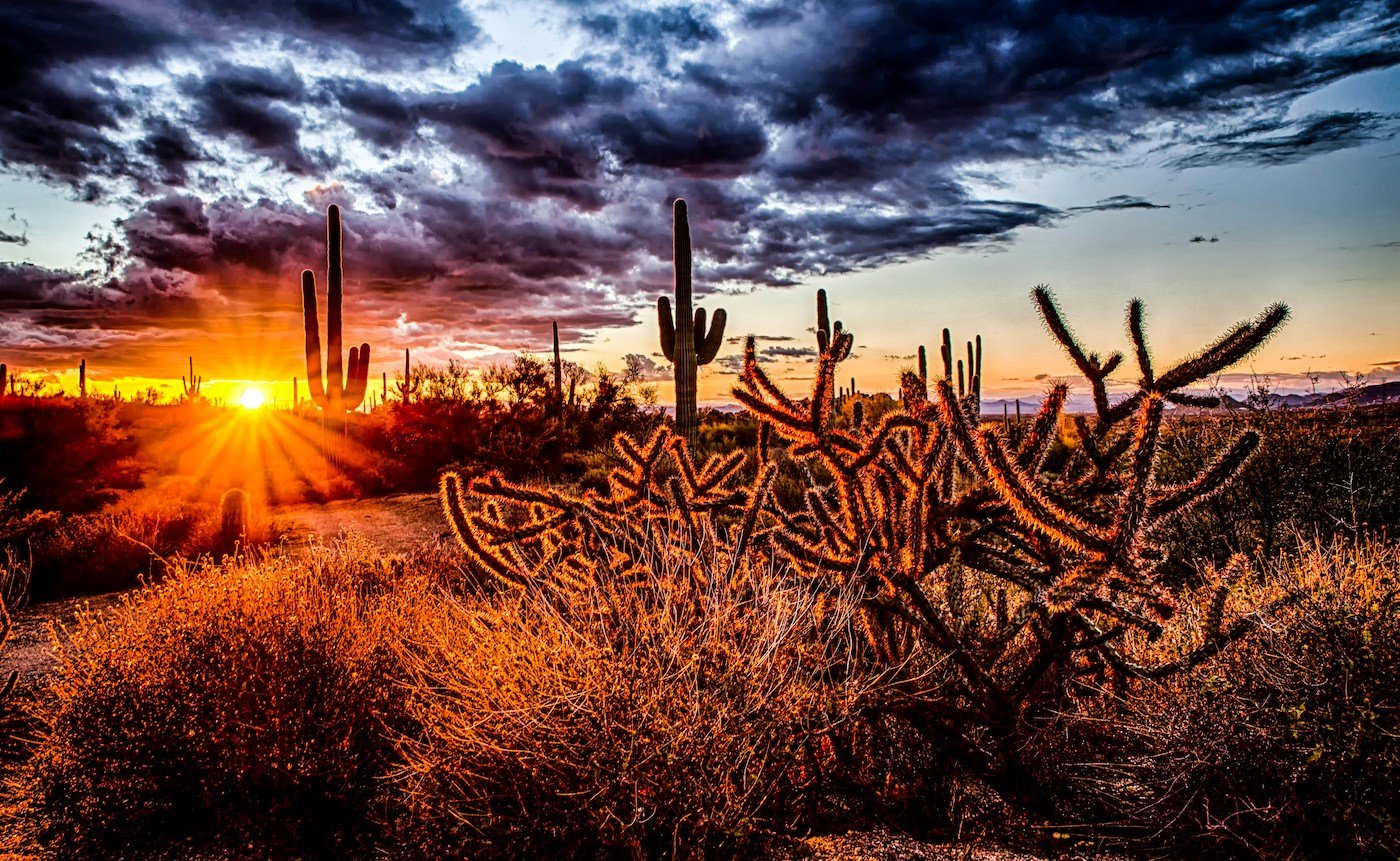 Arizona Fine Time: a grassroots dealer's grit and glory