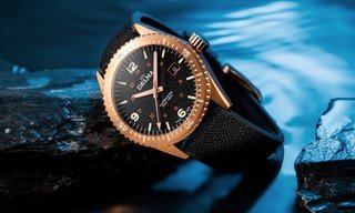 Introducing the Delma Cayman Bronze