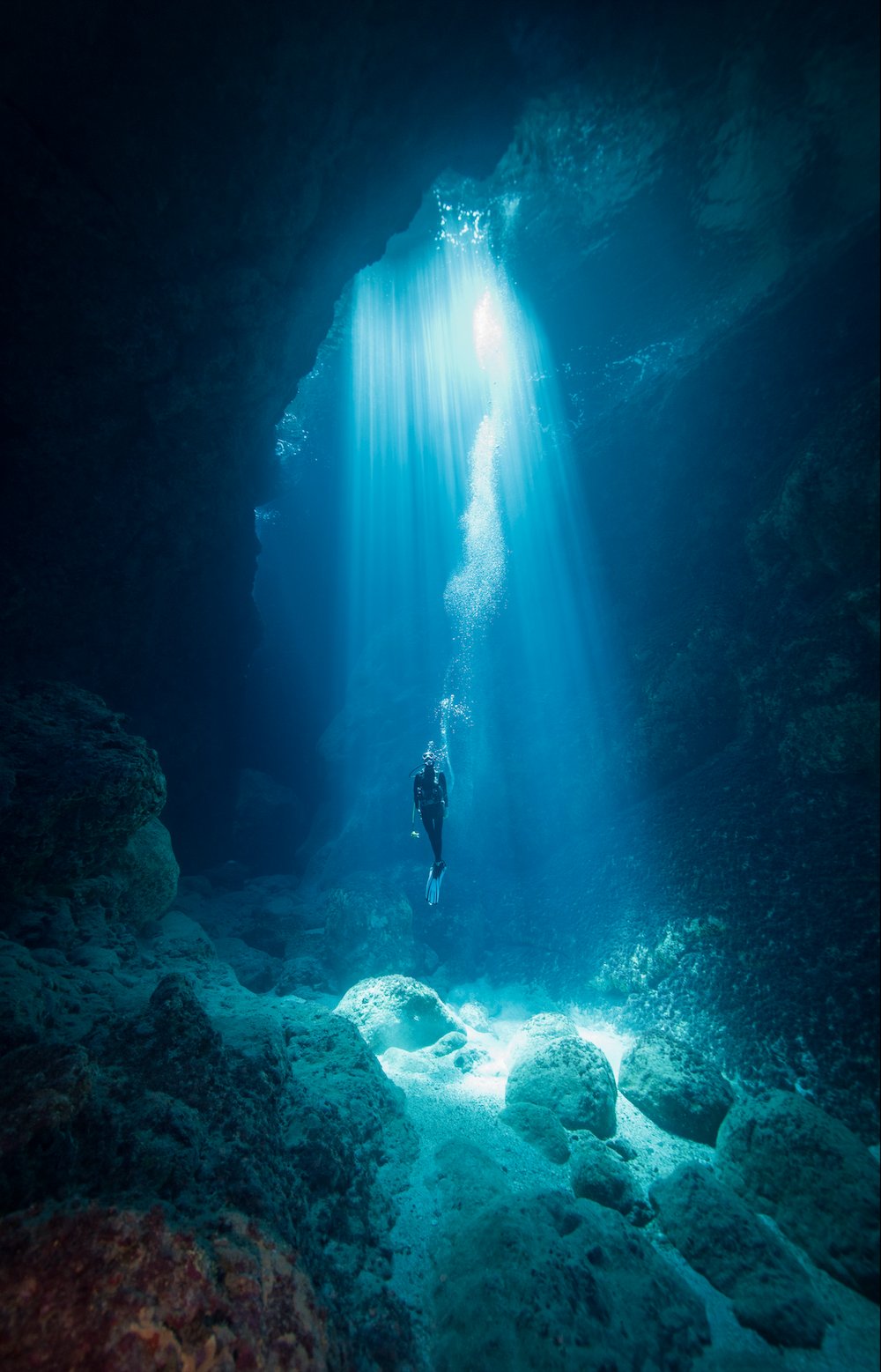 An enduring relationship with the ocean