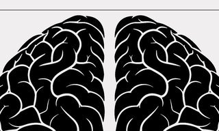 The basics of AI: ten terms that matter today