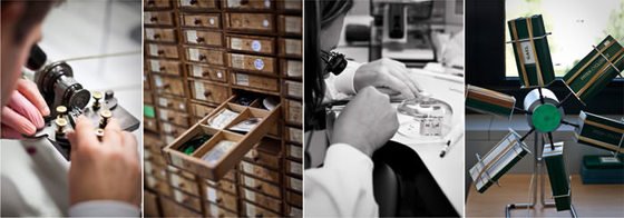 Service, please! - Patek Philippe: patrimonial service